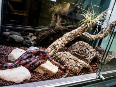 Freude über zahlreiche Spenden