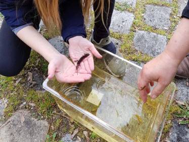 Frühling im Schulgarten