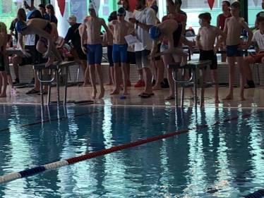 Landesfinale Schwimmen 