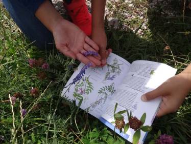 Biologieunterricht im Freien
