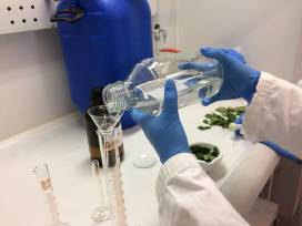 Schülerpraktikum des JungChemikerForums