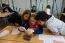 Workshop Wasser am Apian-Gymnasium
