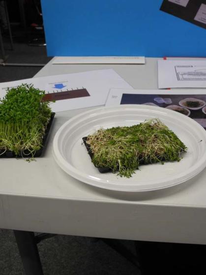 Regionalwettbewerb "Jugend forscht" in Ingolstadt