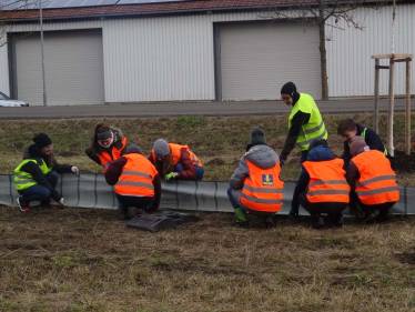 Wir bauen einen Krötenzaun!