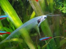 Vivarium in Zeiten der Quarantäne