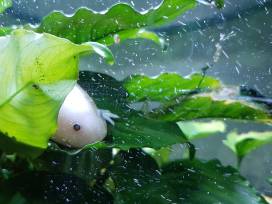 Vivarium erhält finanzielle Unterstützung