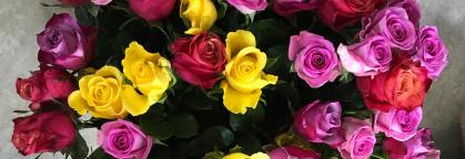 Gruppenfoto SMV-Seminar 