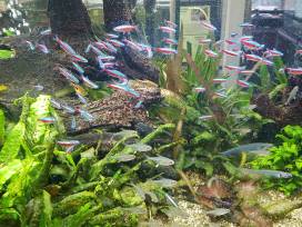 Neuigkeiten aus dem Vivarium