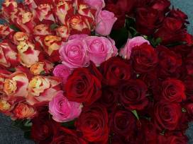 Liebesboten im Apian unterwegs