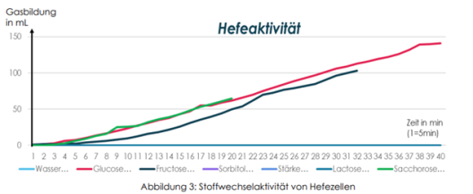 Abbildung zur Stoffwechselaktivität der Hefezellen