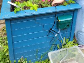 Schulgarten nachhaltig 