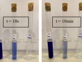 Anna-Lena Liebhard gewinnt Nachhaltigkeitspreis der THI