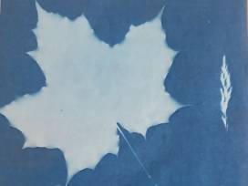 Ein Nachmittag mit Fotografin Sabine Rieß