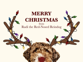 Rudi-Weihnachtskarten