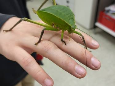 Neues aus dem Vivarium