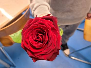 Zwischen &quot;Marry me&quot; und &quot;Ti amo&quot; - Valentinstag am Apian