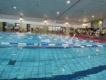 Jugend trainiert für Olympia: Edelmetall und Top-Platzierungen für unsere Schulteams