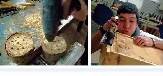 Arbeiten am Insektenhotel