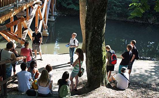 Holzsteg am Künettegraben