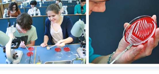 P-Seminar im Max von Pettenkofer-Institut