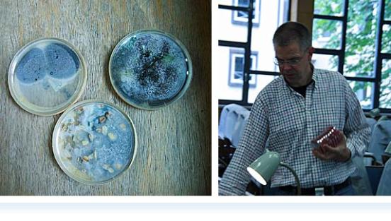 P-Seminar im Max von Pettenkofer-Institut