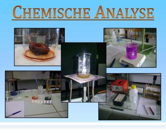 Chemische Analyse