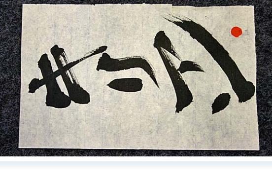 Apian- Gymnasium hilft…Japan!