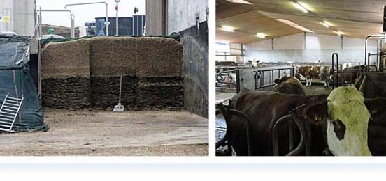 Exkursion des W-Seminars „Nachhaltigkeit“ der Q 11