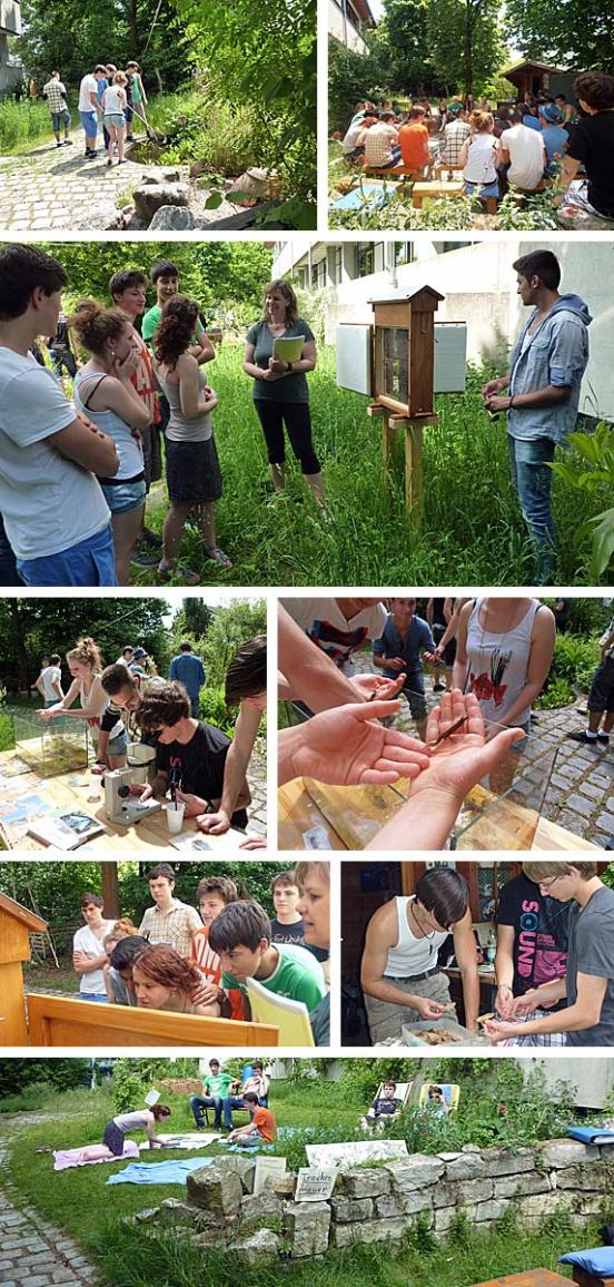 Biologieunterricht am 24. Mai 2012