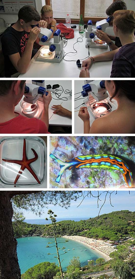 Studienfahrt Elba 2012