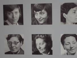 Literatur trifft auf Kino