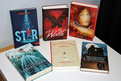 Seitenforscher – der Vorlesewettbewerb 2013